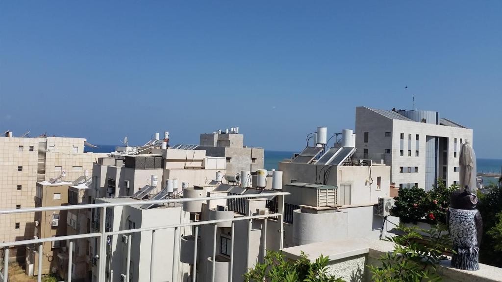 Tel Aviv Roof Apartment - image 3