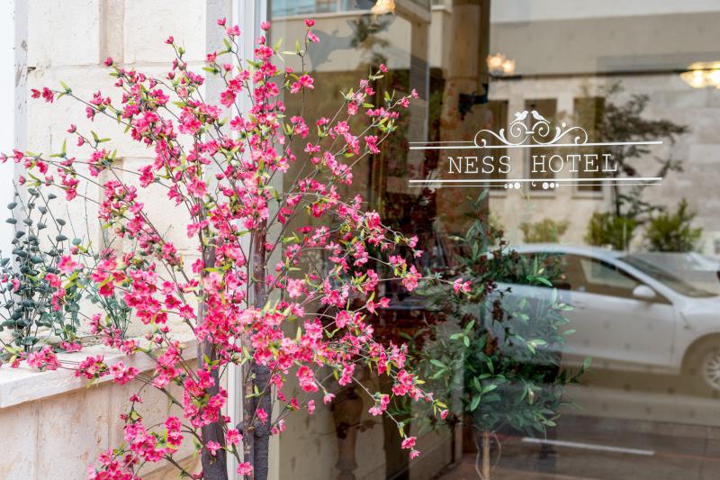 Ness Hotel - main image