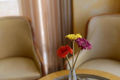Abratel Suites Hotel - image 22