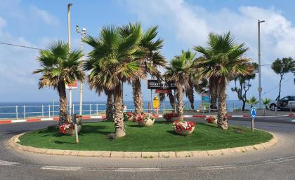 Marina's Home By The Sea - image 26