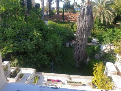 Luxury studio at the heart of old Jaffa - image 18