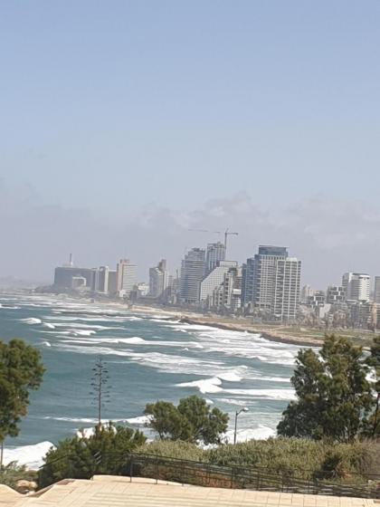 Luxury studio at the heart of old Jaffa - image 22