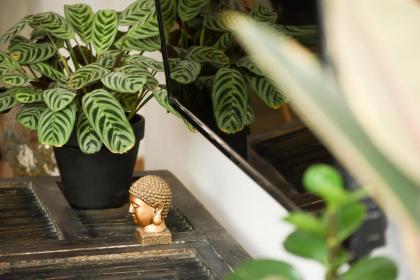 Cozy 2BR Apt w Green Oasis a 3 Min Walk from Beach by Sea N' Rent - image 25